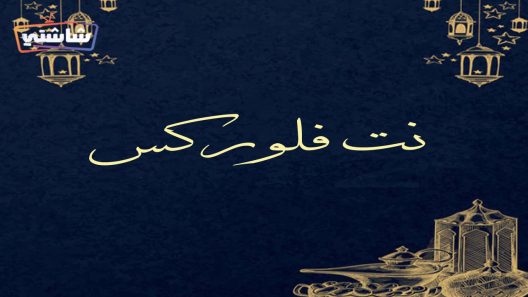 مسلسل نت فلوركس الحلقة 25